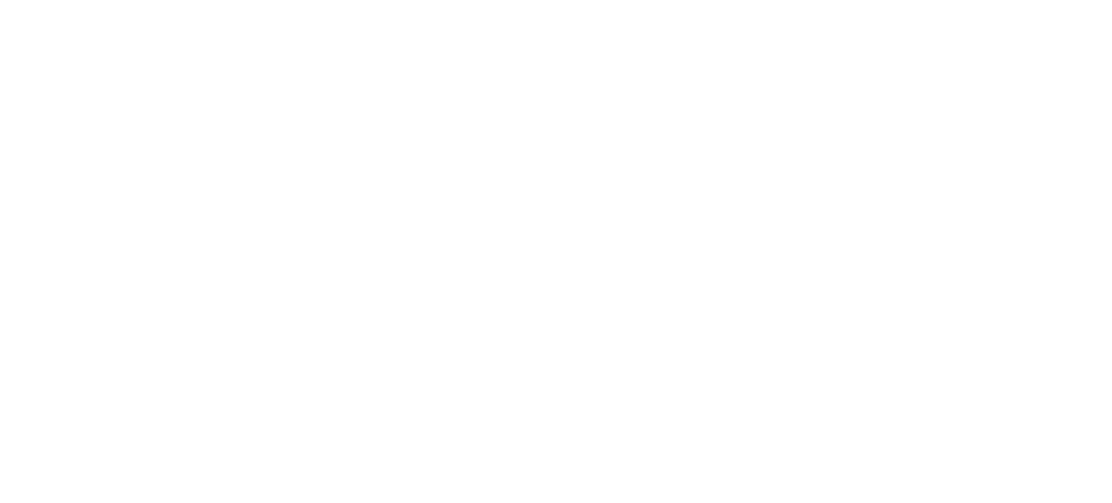 SL8_LOGO_COPPER-1