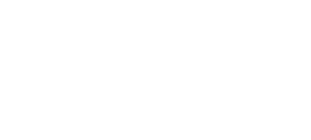 Share-investor-logo