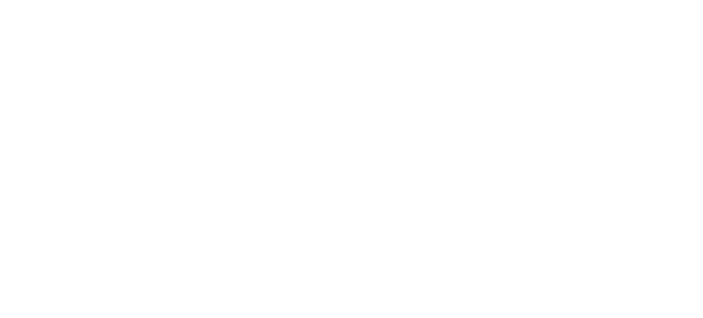 cel-newlogo4-Zky500
