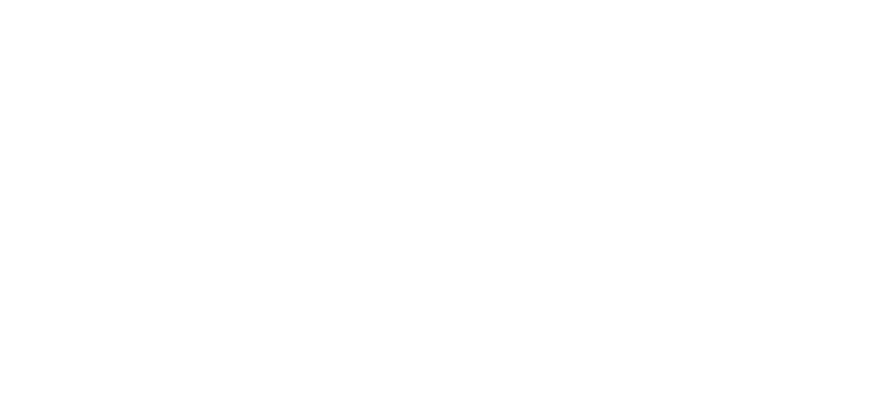 propeasy_word_logo